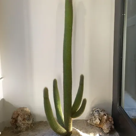 Atypical Guest house Rome