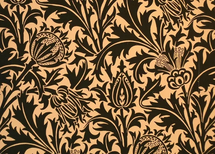 بيت ضيافة Atypical روما